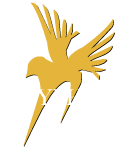 Gryphon USA Logo